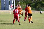IMG_0413 (cam 0)
