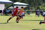 IMG_0415 (cam 0)