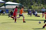 IMG_0416 (cam 0)