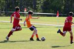IMG_0420 (cam 0)