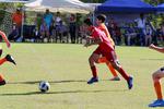 IMG_0445 (cam 0)