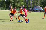 IMG_0449 (cam 0)