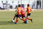 IMG_0451 (cam 0)