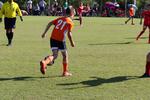 IMG_0460 (cam 0)