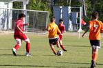 IMG_0726 (cam 0)
