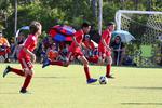 IMG_0730 (cam 0)