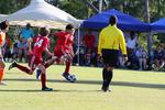 IMG_0733 (cam 0)
