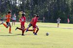 IMG_0737 (cam 0)