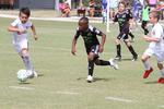 IMG_0004 (cam 0)