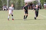 IMG_0017 (cam 0)