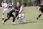 IMG_0024 (cam 0)