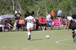 IMG_0033 (cam 0)