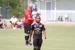IMG_0036 (cam 0)