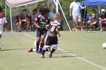 IMG_0047 (cam 0)