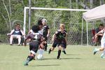 IMG_0050 (cam 0)
