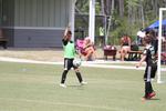 IMG_0055 (cam 0)