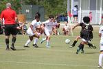 IMG_0081 (cam 0)