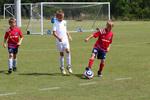IMG_0011 (cam 0)