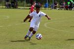 IMG_0017 (cam 0)