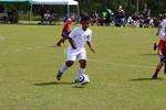 IMG_0019 (cam 0)