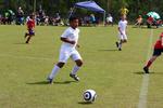 IMG_0023 (cam 0)