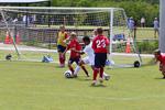 IMG_0033 (cam 0)