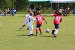 IMG_0071 (cam 0)