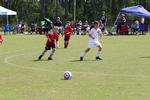 IMG_0084 (cam 0)