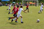 IMG_0091 (cam 0)