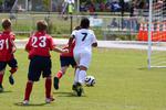IMG_0098 (cam 0)