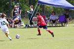 IMG_0135 (cam 0)