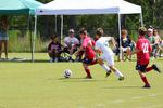 IMG_0139 (cam 0)