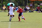 IMG_0173 (cam 0)