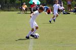 IMG_0176 (cam 0)