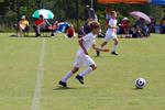 IMG_0178 (cam 0)
