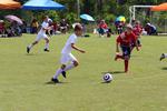 IMG_0181 (cam 0)