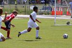IMG_0201 (cam 0)