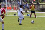 IMG_0202 (cam 0)