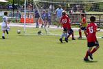 IMG_0207 (cam 0)