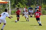 IMG_0209 (cam 0)