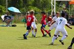 IMG_0217 (cam 0)