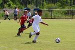 IMG_0218 (cam 0)