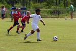 IMG_0219 (cam 0)