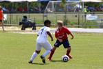 IMG_0224 (cam 0)