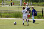 IMG_0229 (cam 0)