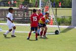 IMG_0235 (cam 0)