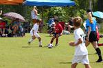 IMG_0244 (cam 0)