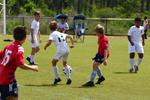 IMG_0246 (cam 0)
