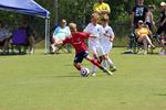 IMG_0249 (cam 0)