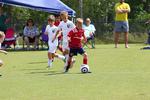 IMG_0252 (cam 0)